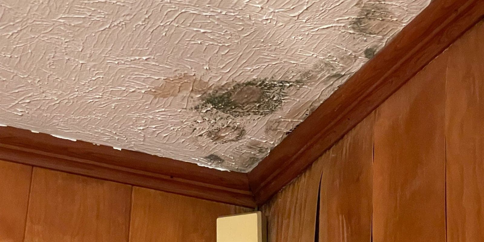 Water stained ceiling below a roof leak